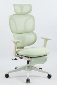 Ergonomic Office Chair with Footrest, High Back Computer Office Chair with Dynamic Lumbar Support, 2D Headrest, 2D Armrest, Sponge Seat